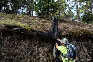 De ruta por el macizo de Tamadaba/Antonio Ali.